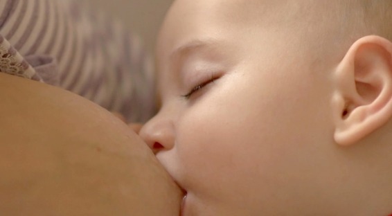 Dica da semana: como aumentar a produção de leite?