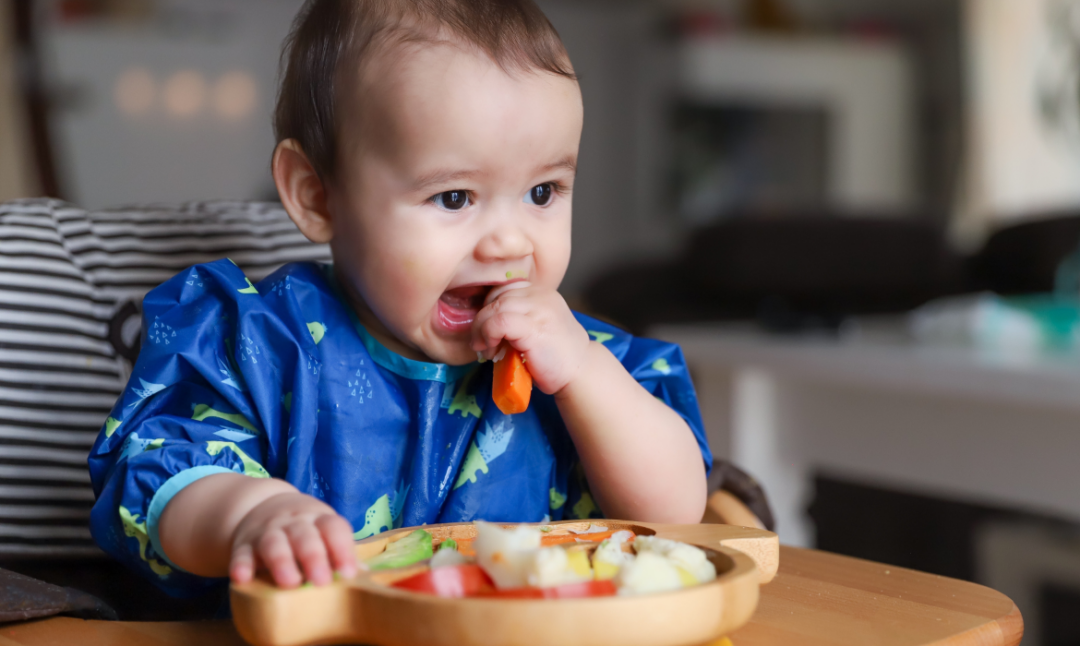 Como Oferecer Alimentos Sólidos ao Bebê: Dicas de Introdução Alimentar